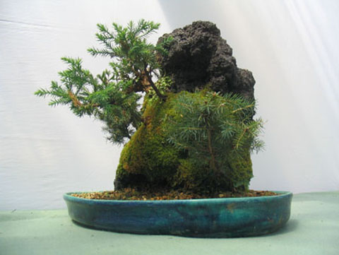 Conjunto en Roca Volcanica